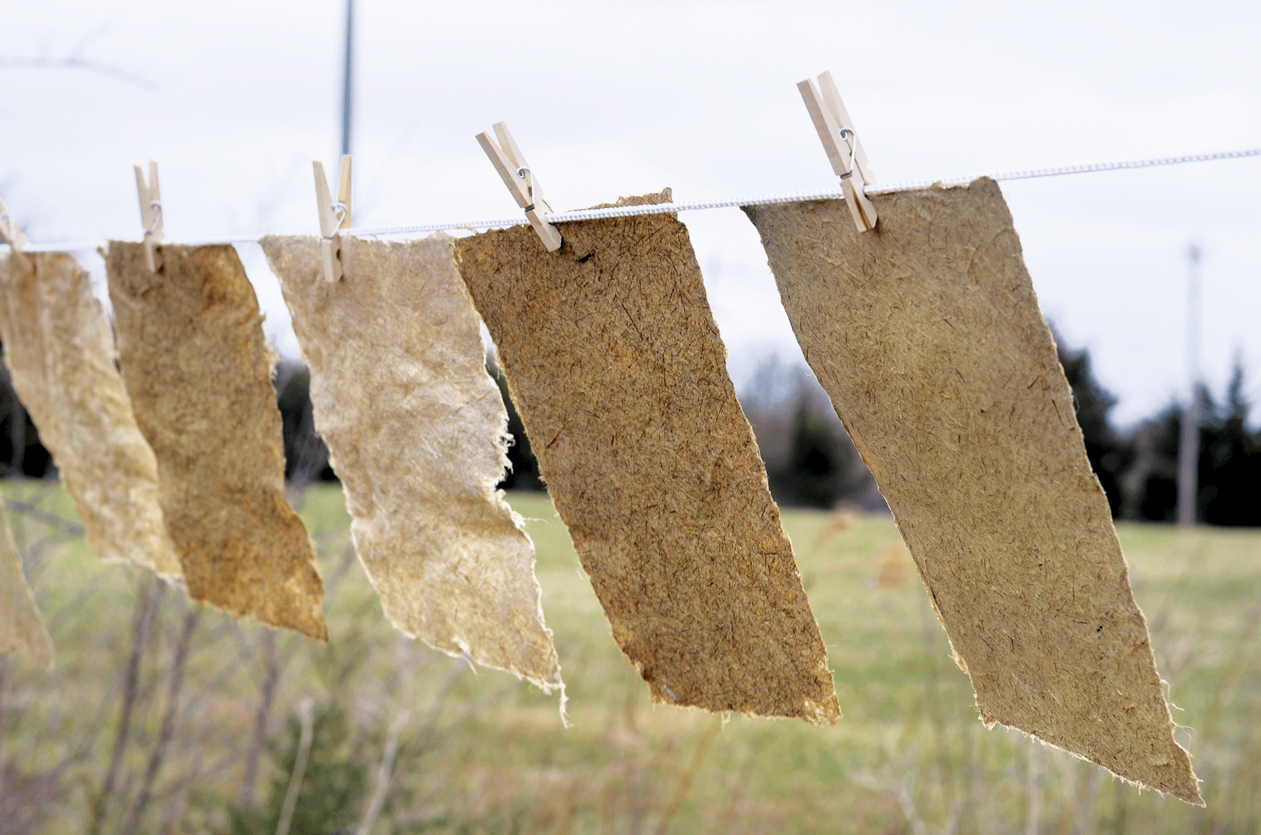 Solar Drying