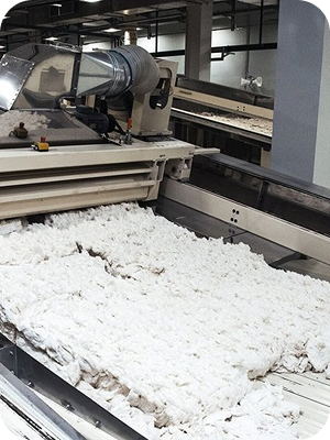 Fibre Sourcing & Selection