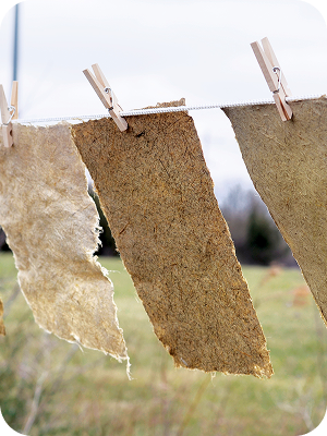 Sun Drying & Pressing